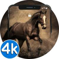 🐎 Horse Wallpapers - 4K HD Running Horses Pics ★ on 9Apps