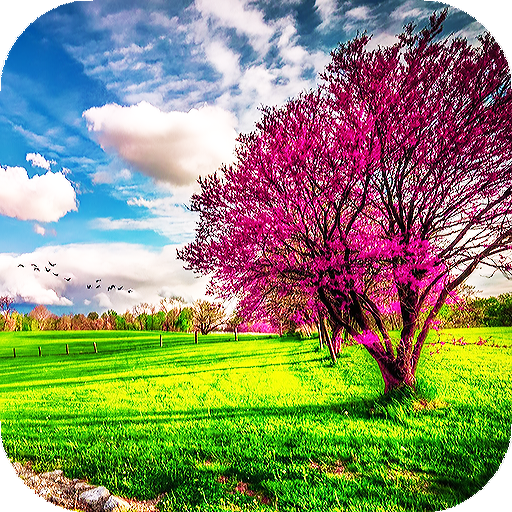 Spring Wallpapers: latar belakang hd icon