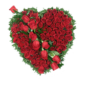 Valentines day live wallpaper icon