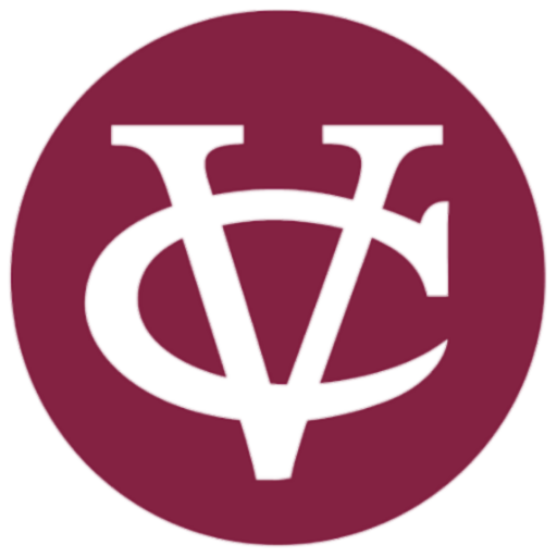 Vicath VPN Lite icon