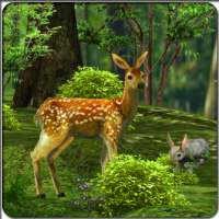 3D Nature Deer Live Wallpaper