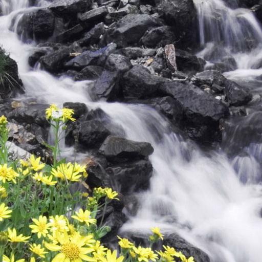 Flowers and waterfall icon