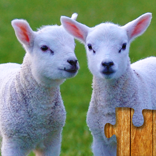 Animal Jigsaw Puzzle Game Kids icon
