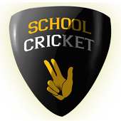 School Cricket