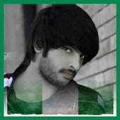 Nigeria Photo Flag Editor icon