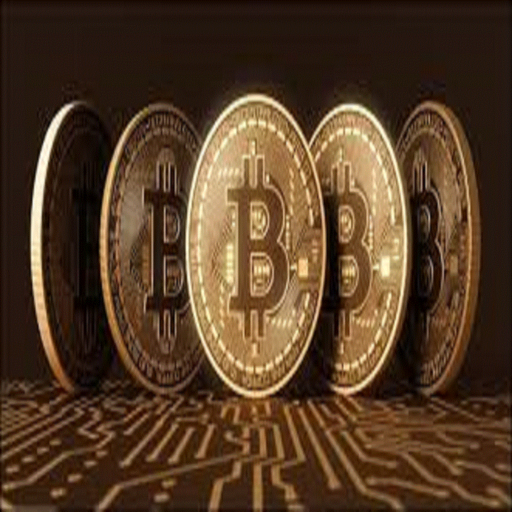 Bitcoin Investment icon