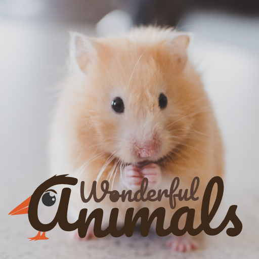 Wonderful Animals icon