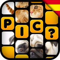 What's the Pic? - en español