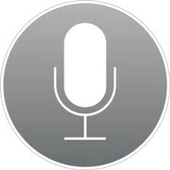 Voice Search For Google icon