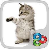 Little Kitty GO Launcher Theme icon