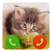 Kitty Cat Fake Call Prank icon