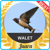Suara Walet Asli mp3 icon