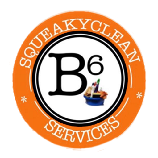 B6 Squeaky Clean icon