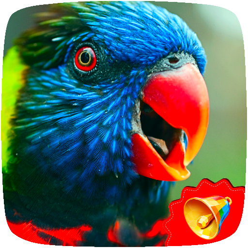 Birds Sounds &amp; Ringtones icon