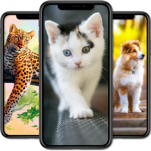 Cute Animal &amp; Birds Wallpaper in 4K - AnimalWallp icon