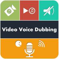 Video Voice Dubbing