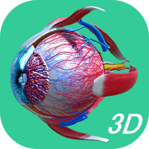 Human Eye - Anatomy icon