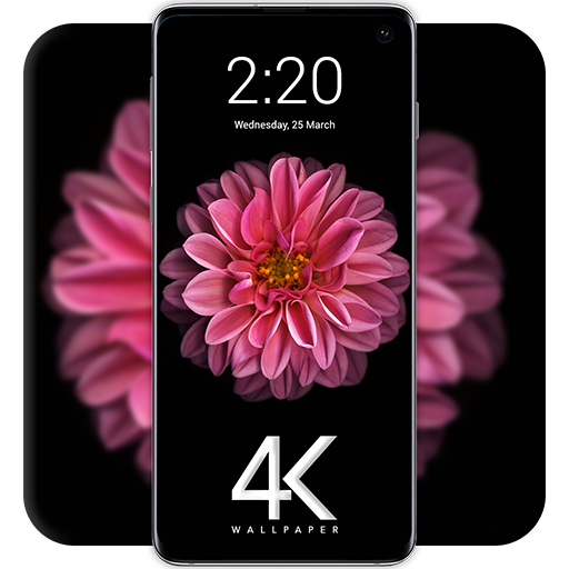 4k WallPaper - HD Wallpapers &amp; Backgrounds 2020 icon