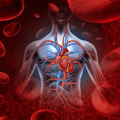 Testosterone Resource icon