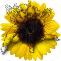 Genealogical tree 3D