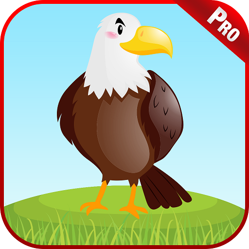 Learn Bird Name &amp; Sounds Games icon