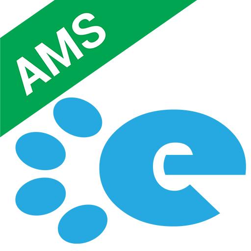 AMS иконка