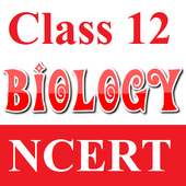 Class 12 Biology Solutions icon