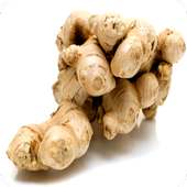 Uses & Benefits of Ginger Root on 9Apps