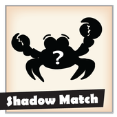 Match the right shadow icon