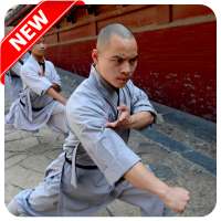 Best Chinese Martial Arts on 9Apps