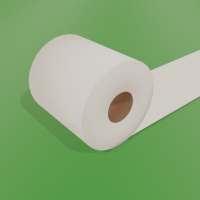 Toilet Paper Roll