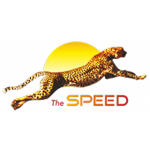 Speed Online Test icon
