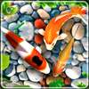 Koi Pet Fish Live Wallpaper