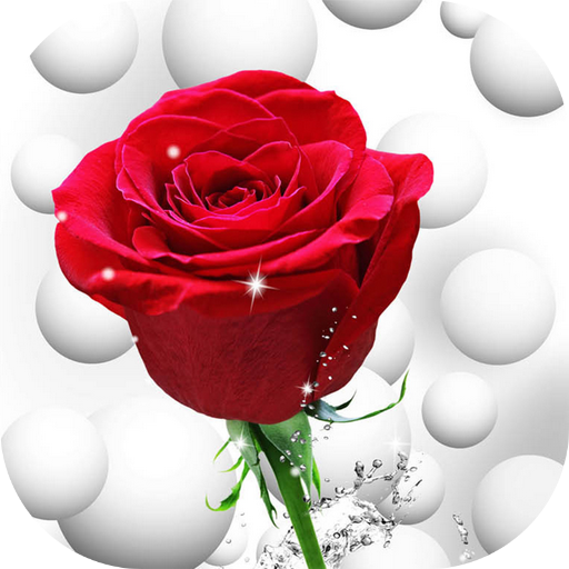 Flowers And Roses Animated Images Gif pictures 4K icon