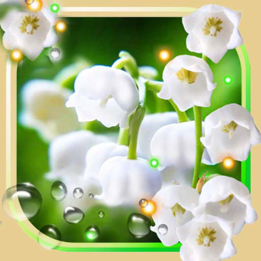 Lily May Live Wallpaper icon