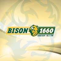 Bison 1660 on 9Apps