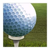 Hole In One أيقونة