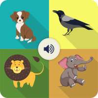 Animal and Bird Sounds