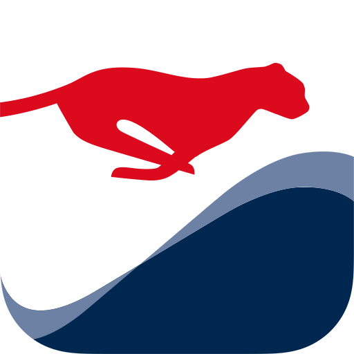 FLS MOBILE FLOW EDITION icon