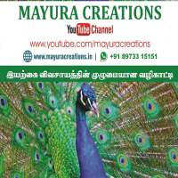 Mayura Creations