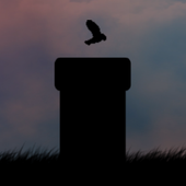 Flappy Shadow Bird icon