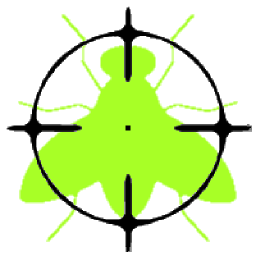 Shoot the fly icon