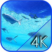 Aquarium Screen Live Wallpaper icon