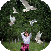 Bird Live Photo Editor icon