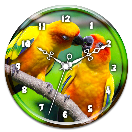 Love Birds Clock Live WP icon