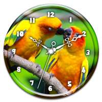 Love Birds Clock Live WP on 9Apps