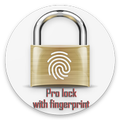 Pro lock icon
