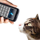 Кошачий переводчик icon