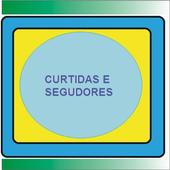 Seguidores no Instagram flash icon