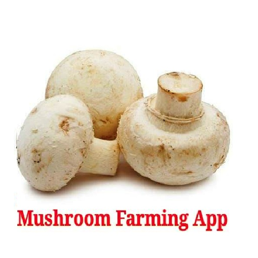 Mushroom Farming -  Mushroom Agriculture icon